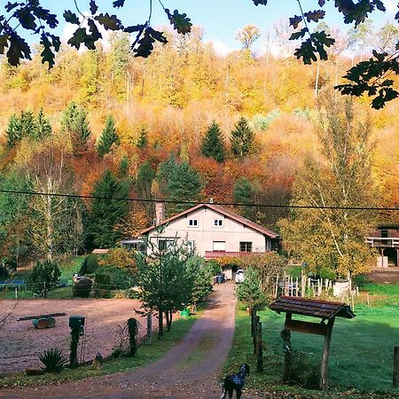 Gîte De La Vallée Soucht Exterior foto