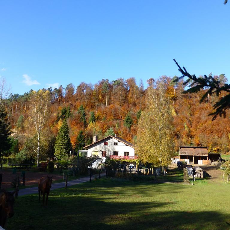 Gîte De La Vallée Soucht Habitación foto