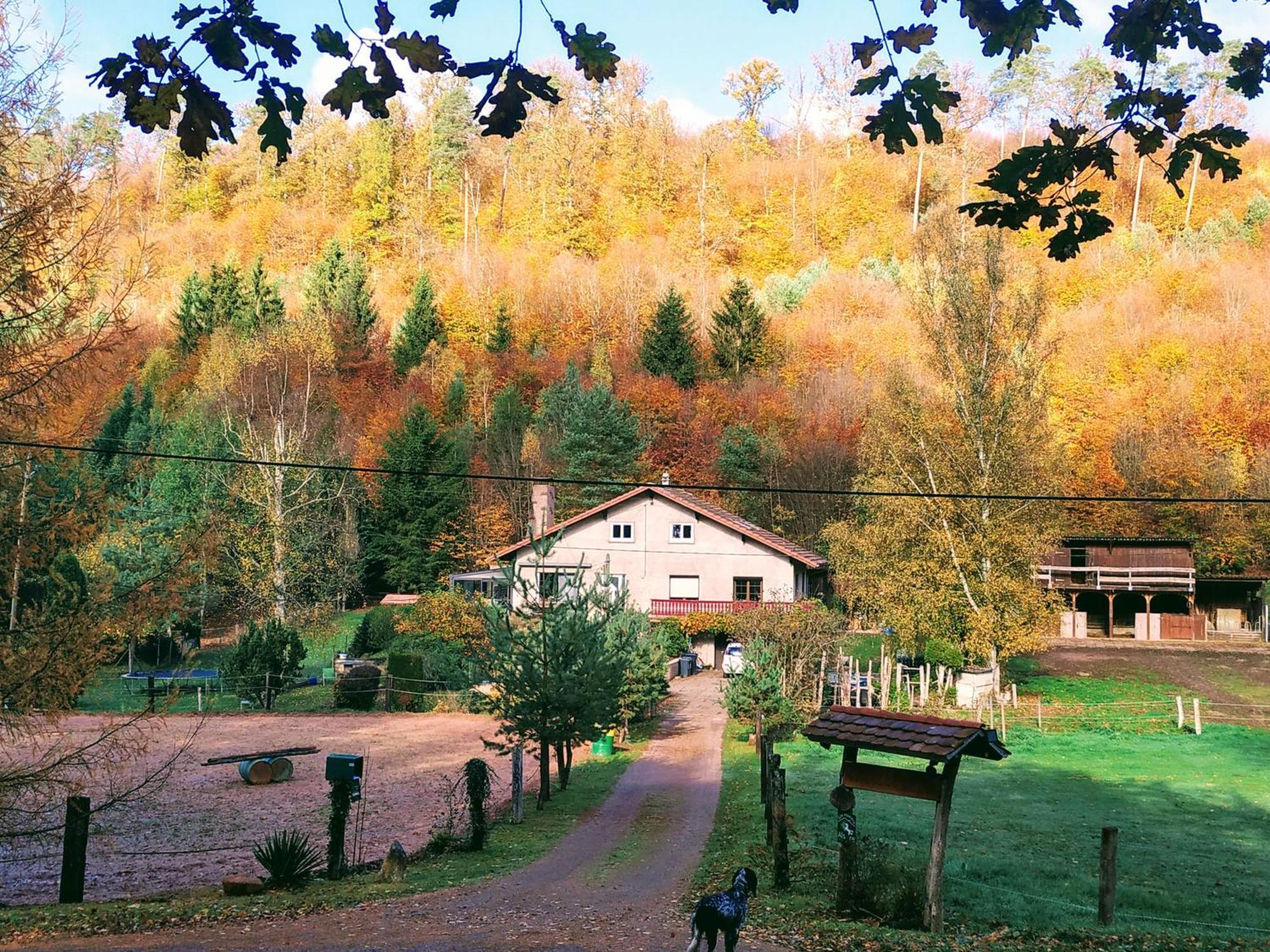 Gîte De La Vallée Soucht Exterior foto