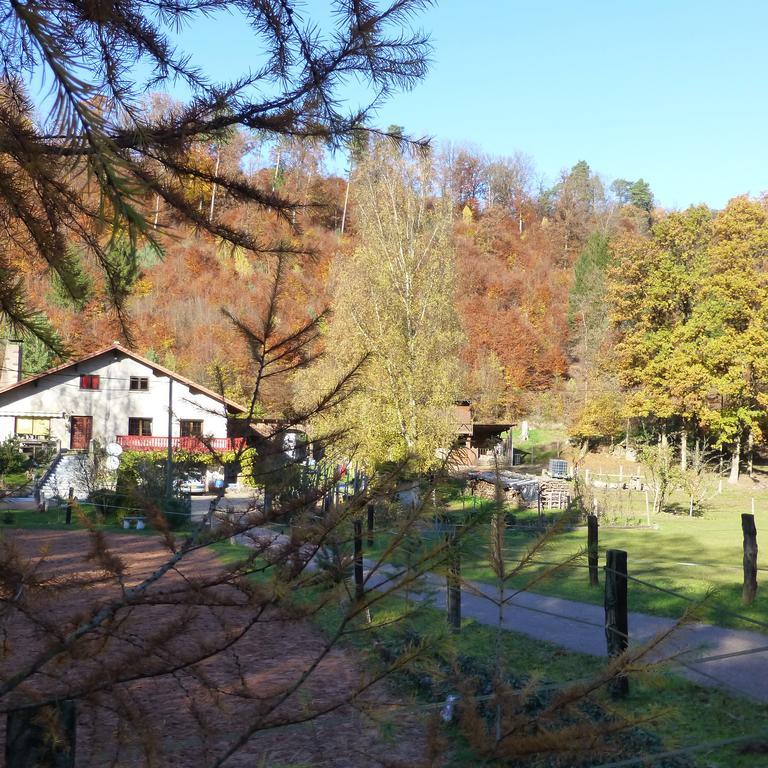 Gîte De La Vallée Soucht Habitación foto