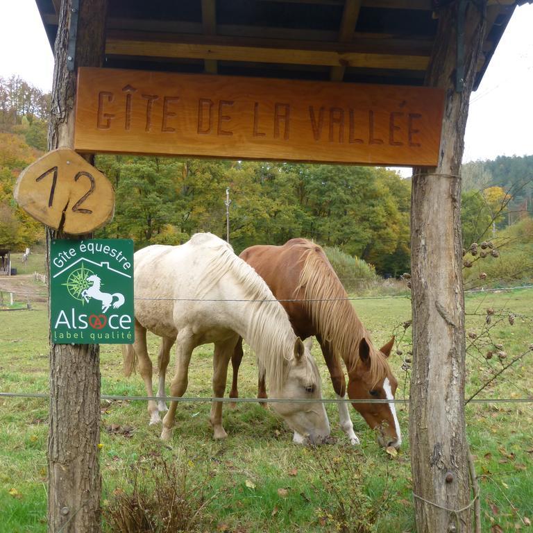 Gîte De La Vallée Soucht Exterior foto