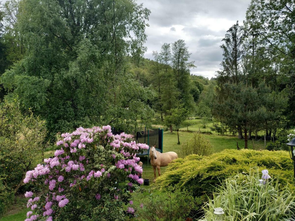Gîte De La Vallée Soucht Exterior foto