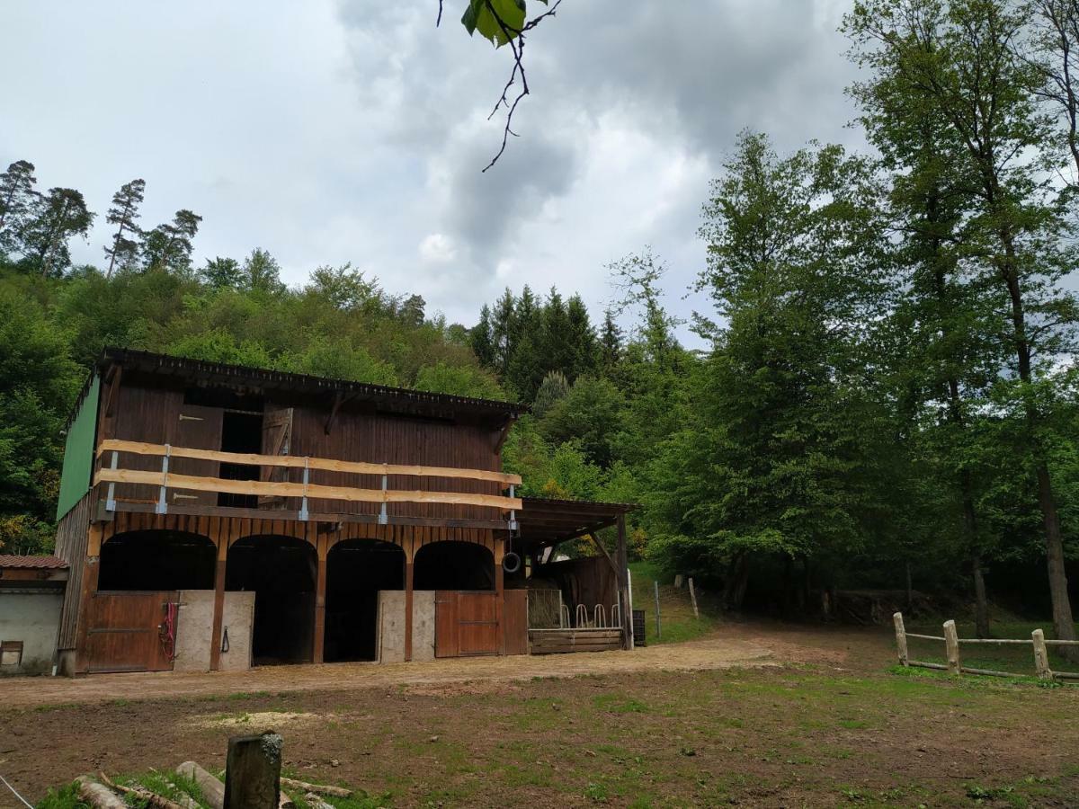 Gîte De La Vallée Soucht Exterior foto